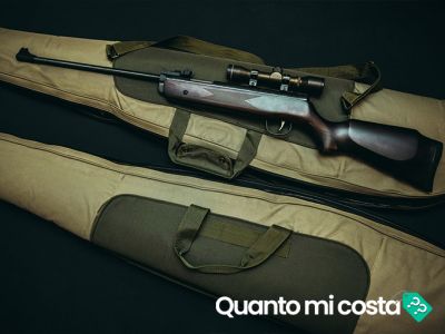 Quanto costa il porto d'armi?